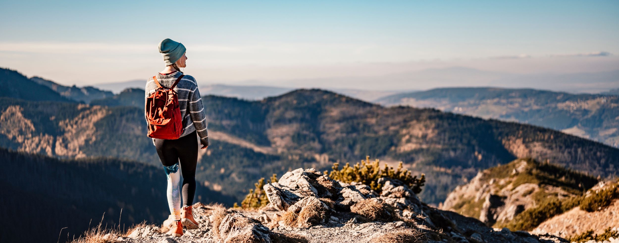 A hiker standing on a peak.