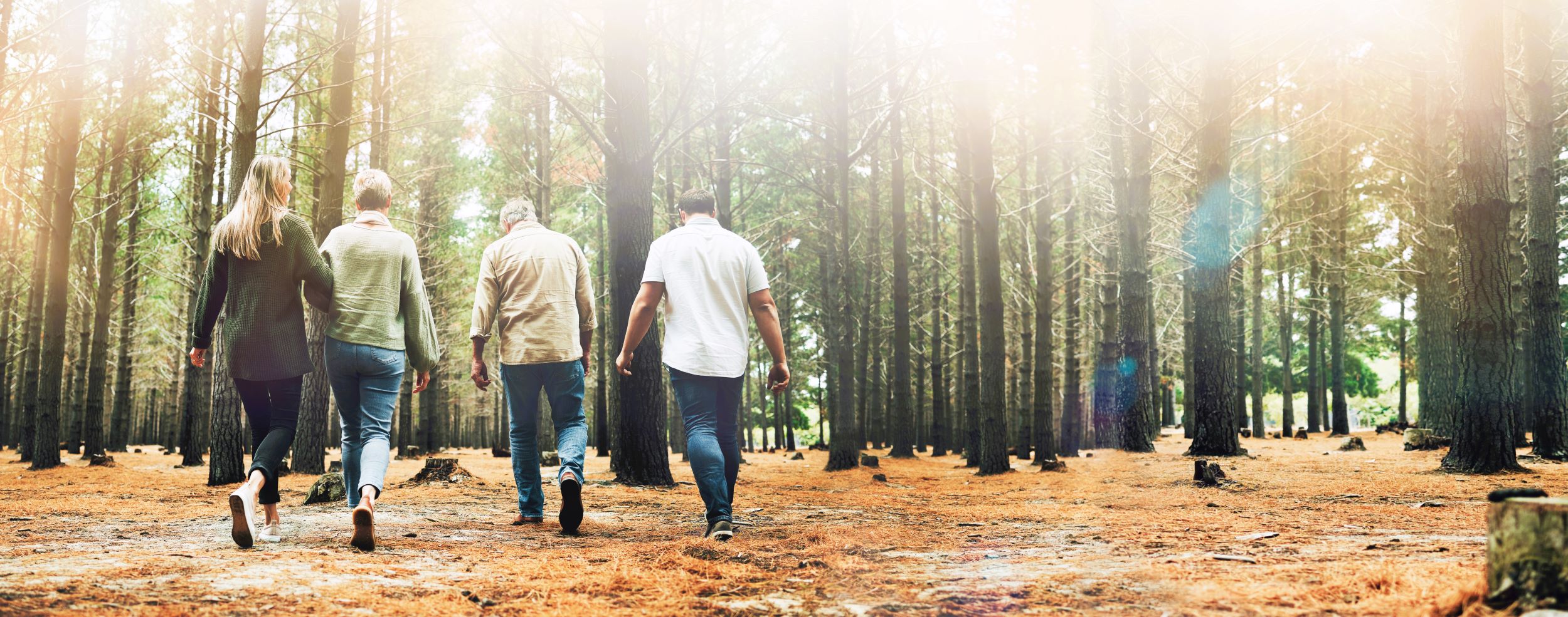 A group of hikers.